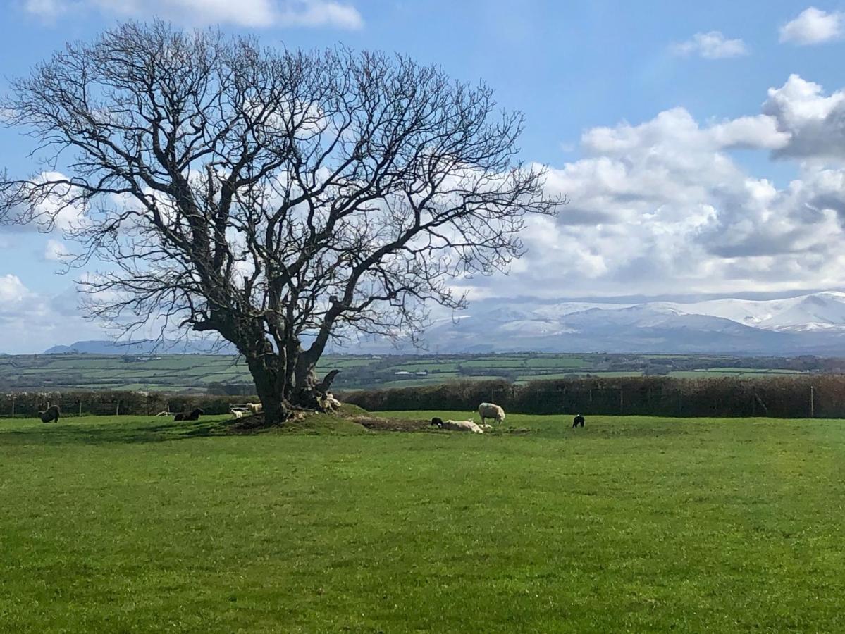 Vila Drosgl Llangefni Exteriér fotografie